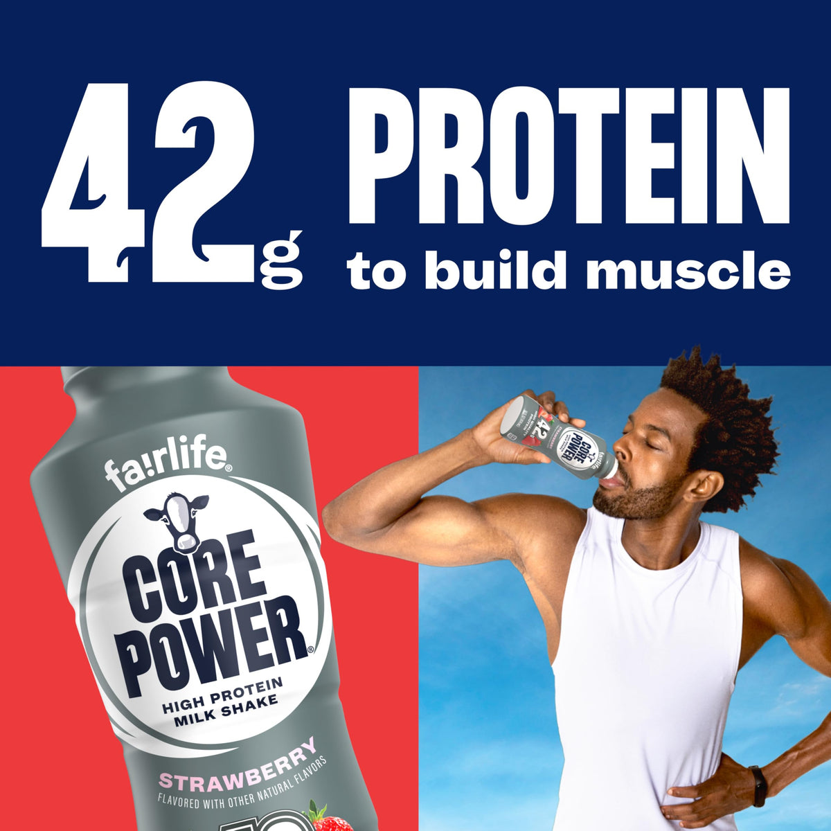 Core Power Fairlife Elite 42g High Protein Milk Shakes For kosher diet, Ready to Drink for Workout Recovery, Chocolate, 14 Fl Oz (Pack of 12), Liquid, Bottle